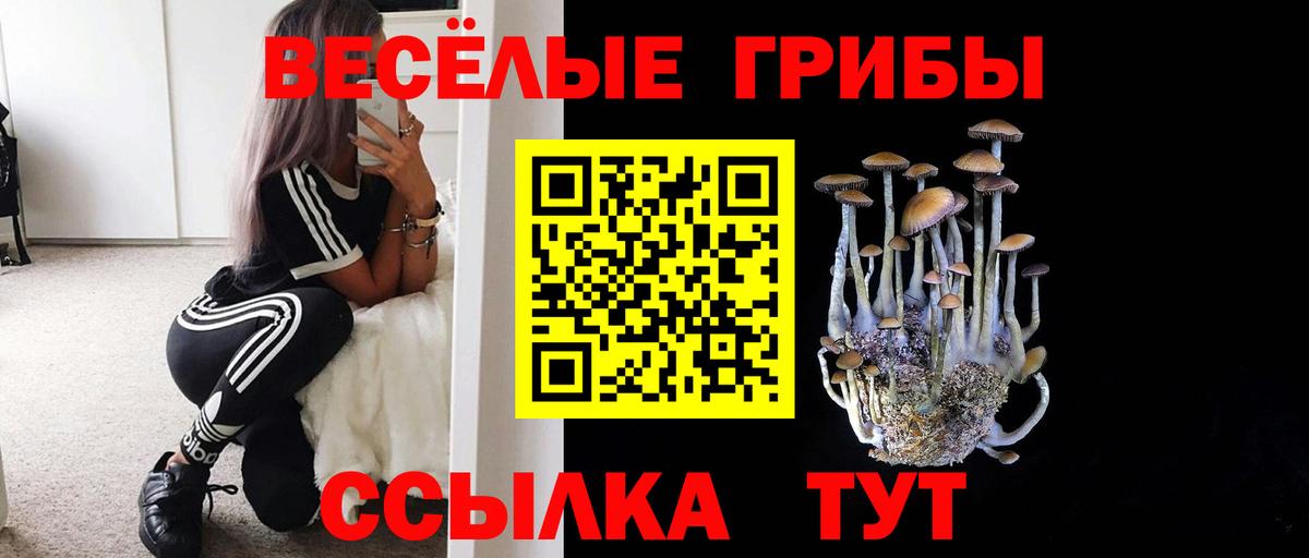 Псилоцибиновые грибы GOLDEN TEACHER  закладки  Казань  Вход с VPN 